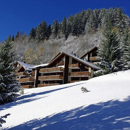 Campanule - Les Hauts De Planchamp - Pour 3 Personnes Mae-3348 * 拉普拉涅